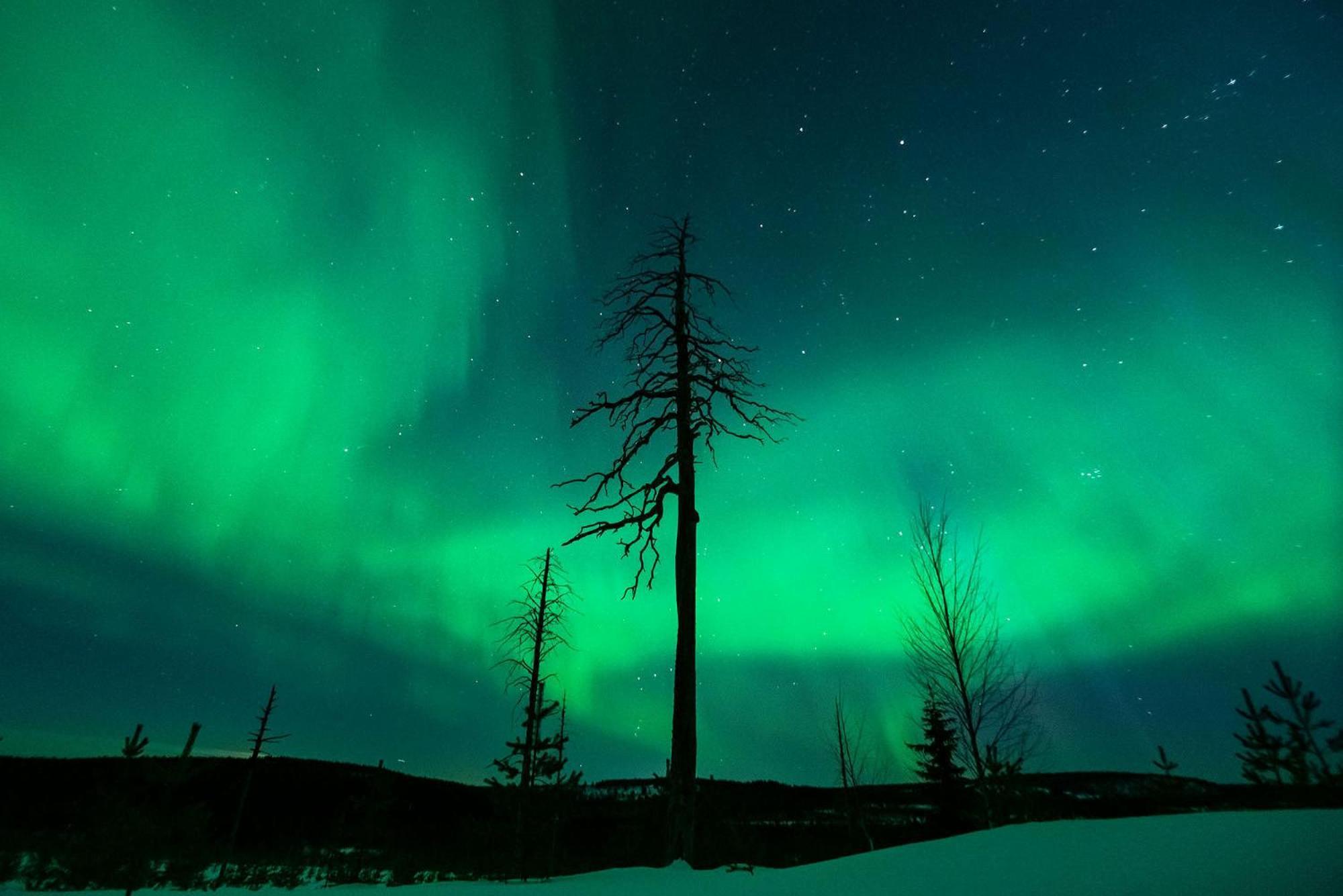 Napapiirin Jaervilomat Hotel Luukonniemi Екстериор снимка