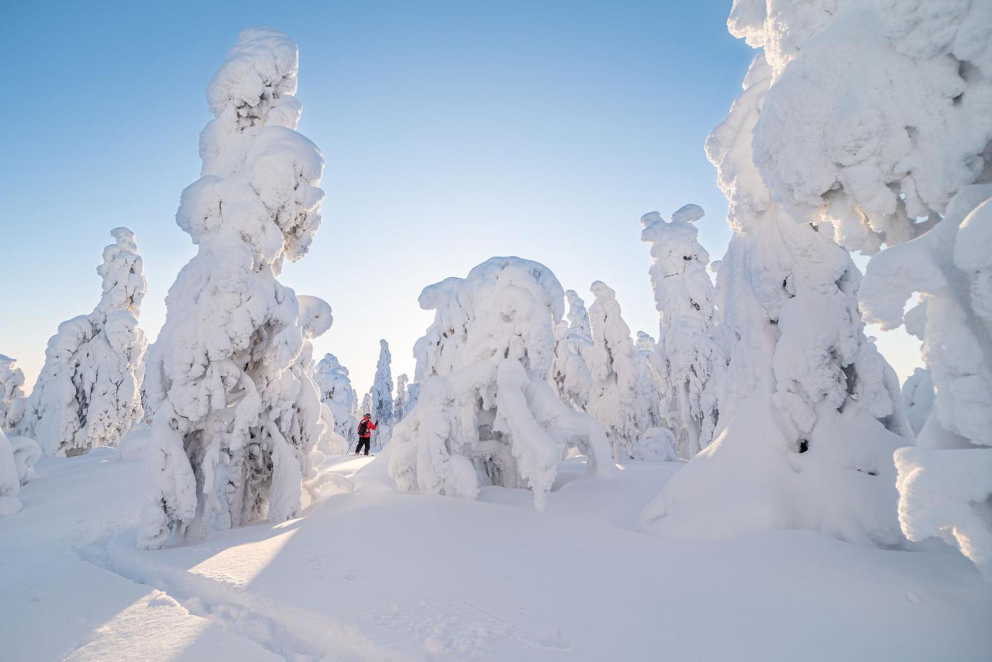 Napapiirin Jaervilomat Hotel Luukonniemi Екстериор снимка