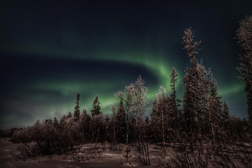 Napapiirin Jaervilomat Hotel Luukonniemi Екстериор снимка